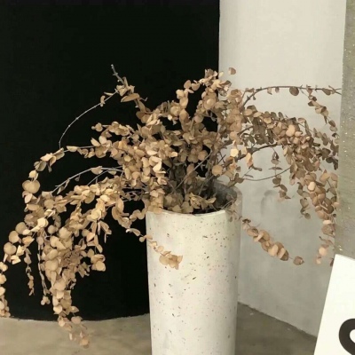 兽设雨夜场景绘制福瑞群